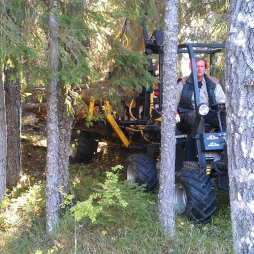 mactrac-skog-850px mactrac-skog-850px